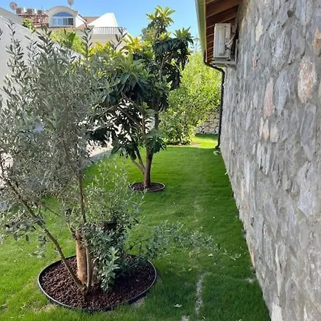 Vilă Gizem Fethiye